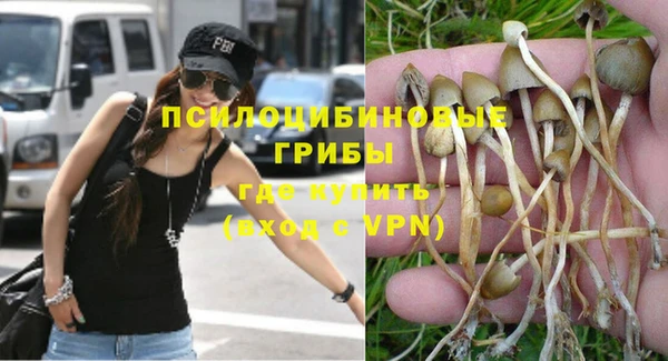 apvp Алексеевка