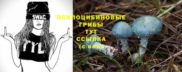 Альфа ПВП Армянск