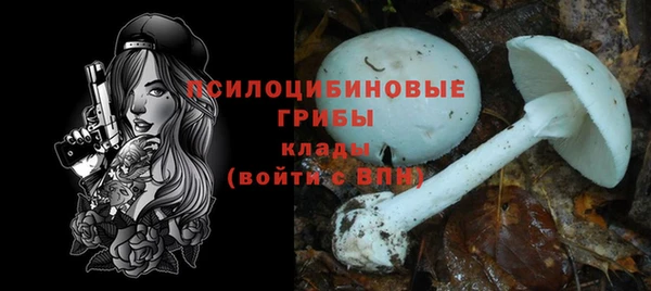 прущая мука Арсеньев