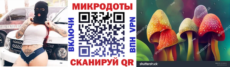 Псилоцибиновые грибы GOLDEN TEACHER  где купить наркотик  Бабушкин 
